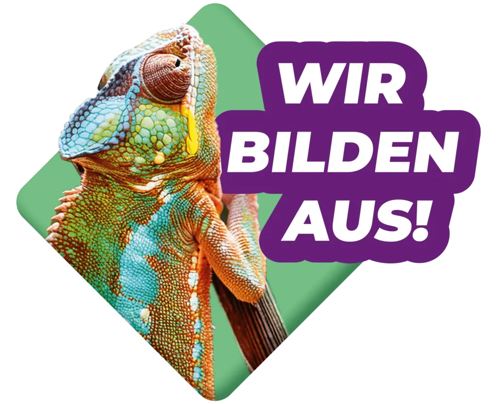 Steuerberatung Reindl, Hergenröder und Partner bilden Azubis aus