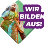 Steuerberatung Reindl, Hergenröder und Partner bilden Azubis aus