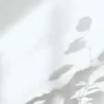 An der Wand eine Silhouette einer Pflanze